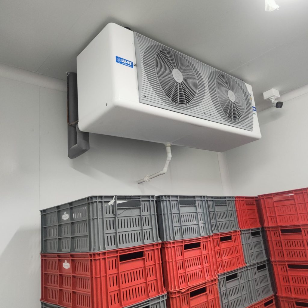 IMG20240412100202 (1)